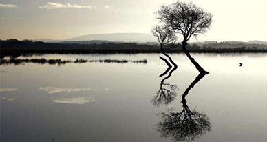 樱花季ATLAS（中国）员工日本奖励游