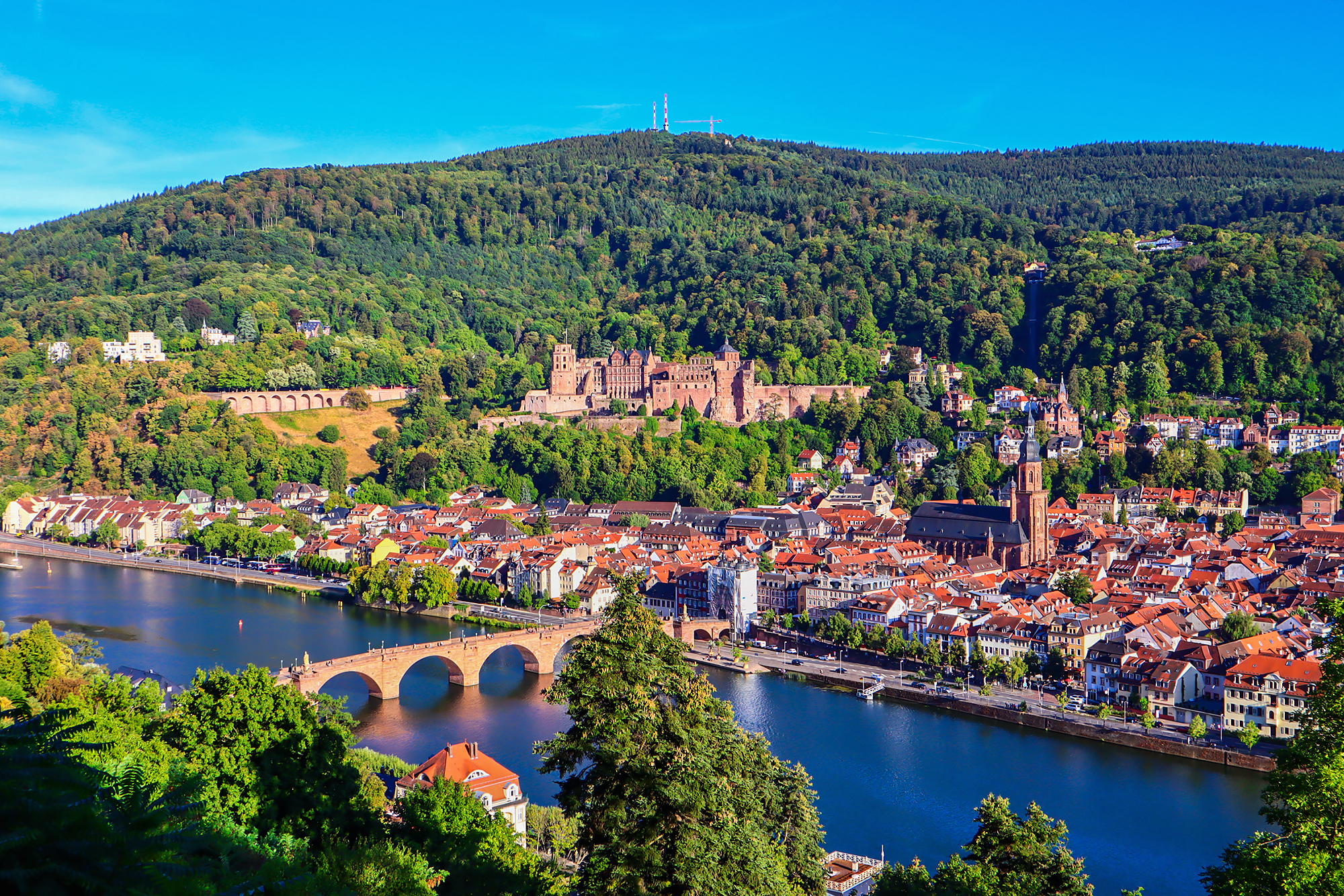 「景观启示录」那年王小波谈到的“自然景观和人文景观”