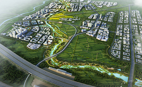 西咸国际文化教育园沙河生态湿地